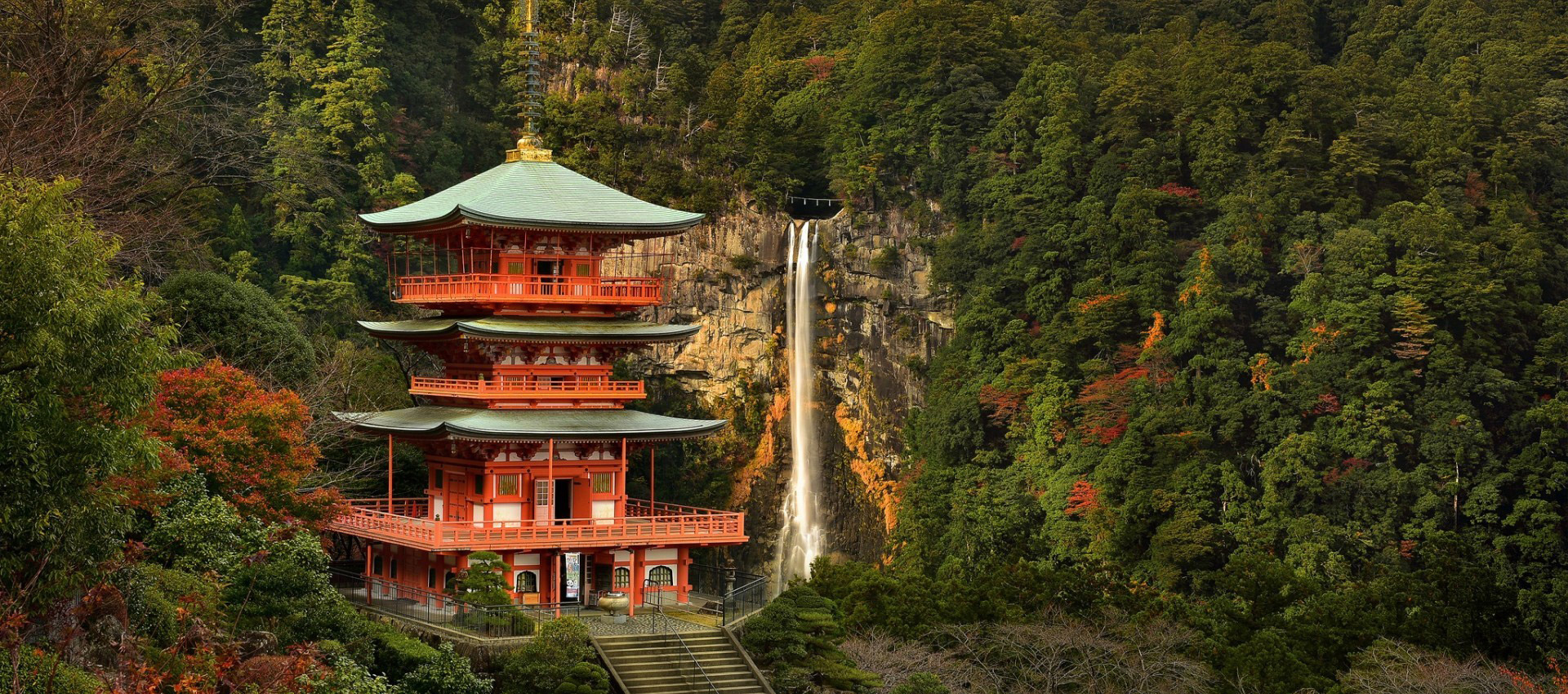 ���(y��)݆�Q�D